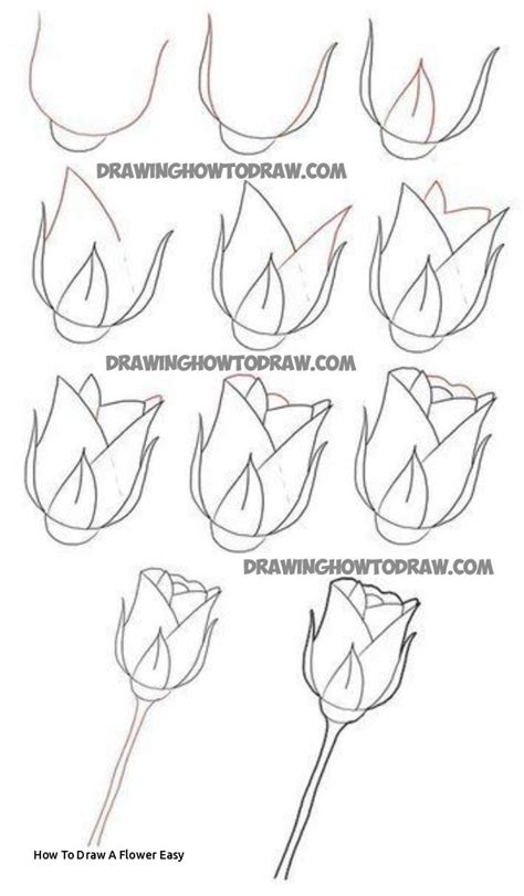 Rose Drawing Easy Step By Step at PaintingValley.com | Explore ...