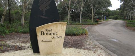 The Australian Garden, Royal Botanic Gardens Cranbourne | Established Tree Transplanters