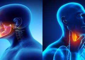 Journal of Otolaryngology - Head & Neck Surgery Archives - On Medicine