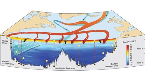 Study Explores the Relationship of Anthropogenic Carbon and Ocean ...