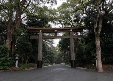 Complete Guide To The Meiji Jingu Shrine | Japan Wonder Travel Blog