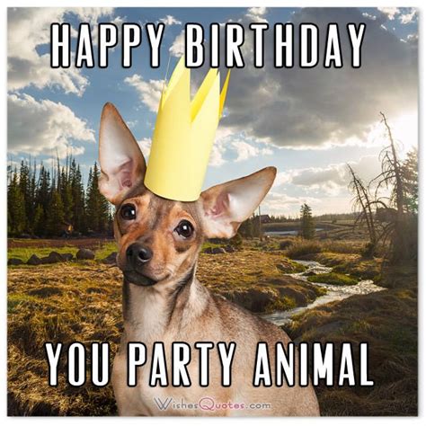 The Funniest And Most Hilarious Birthday Messages And Cards | Birthday ...