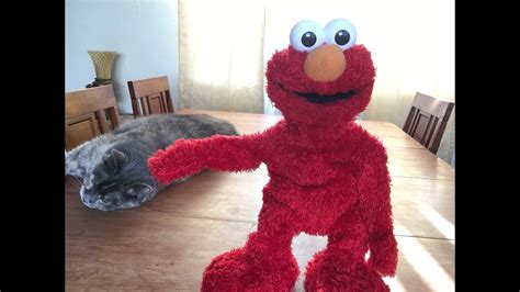 Elmo Live Without Fur - YouTube