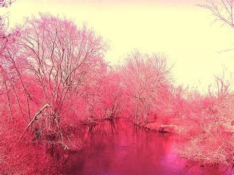 Pink River - a photo on Flickriver