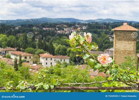 Boboli gardens stock image. Image of decorative, gardens - 75539593