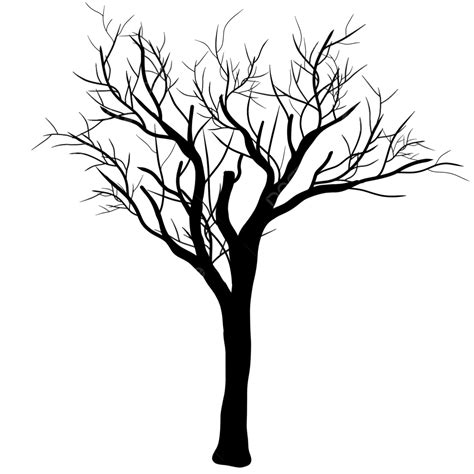 Black Leafless Tree Silhouette Leafless Dead Tree Silhouette Png | Free Download Nude Photo Gallery