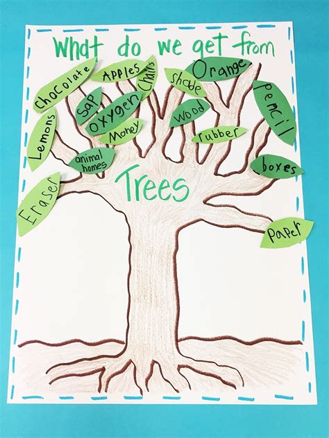 Learning About Trees - Firstieland - First Grade Teacher Blog ...