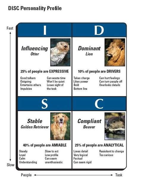 Disc Personality Test, Personality Assessment, Personality Profile ...