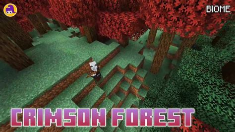 The secret of the crimson forest - Minecraft biome - YouTube