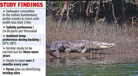 Sundarbans Crocodiles: Decoded: Sundarbans Crocodiles’ Salinity Tolerance, Basking Temp & Creek ...