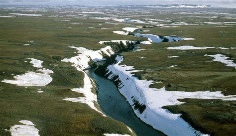 A Blessing and a Curse: Melting Permafrost in the Russian Arctic | The Arctic Institute – Center ...