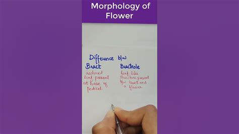Flower: Bract and Bracteole|| Difference Between Bract and Bracteole ...