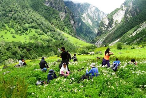 Valley Of Flowers National Park - Hemkund Trek Auli Luxury Camps ...