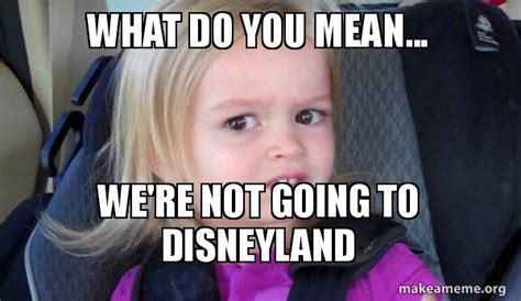 11++ Funny Disneyland Memes - Factory Memes