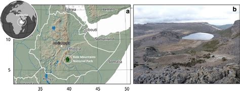 a Map of the study area (Bale Mountains National Park) situated east of ...