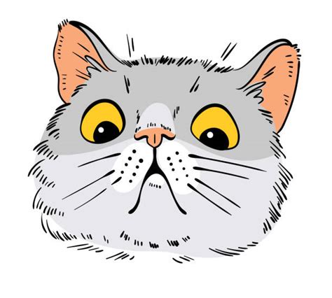 3,600+ Shocked Cat Stock Illustrations, Royalty-Free Vector Graphics & Clip Art - iStock