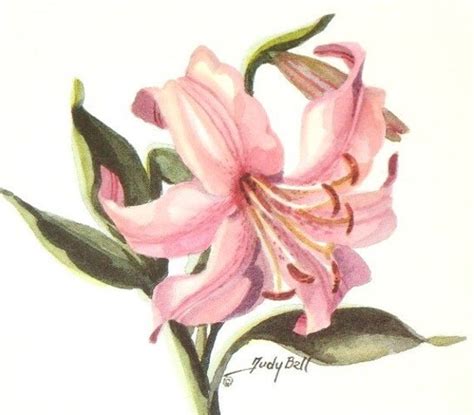 Pink Daylily Print Watercolor Painting