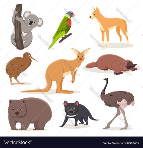 Set funny cartoon australian animals - emu Vector Image