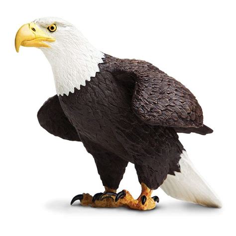 Bald Eagle | Incredible Creatures | Safari Ltd®