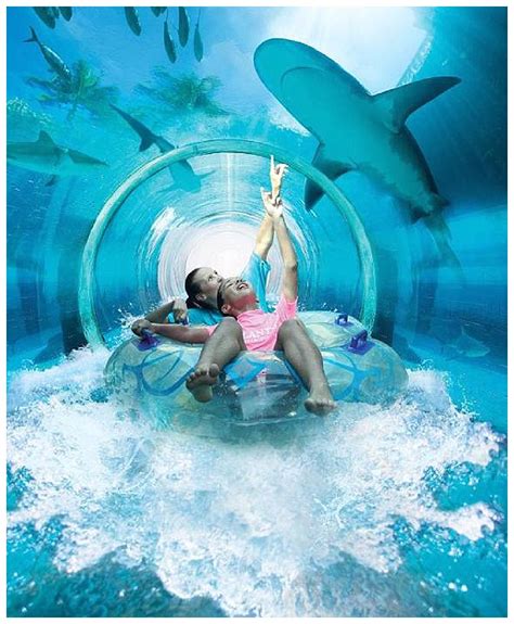 Underwater Slide at Atlantis The Palm Resort - Paging Fun Mums