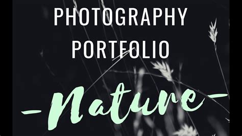 Photography Portfolio Nature - YouTube