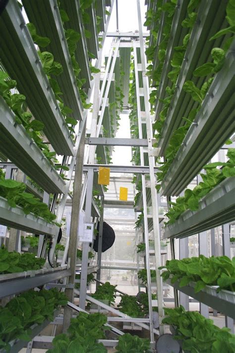 Singapore’s Vertical Farms | Amusing Planet