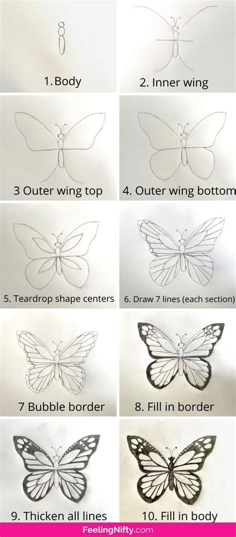 How to paint a butterfly easy beginner step by step tutorial – Artofit