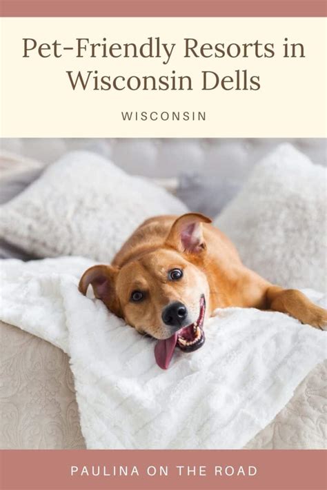 10 Great Pet-Friendly Resorts in Wisconsin Dells - Paulina on the road