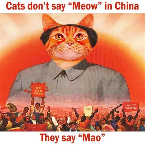 🔥 25+ Best Memes About Mao And Meme 984 - EroFound