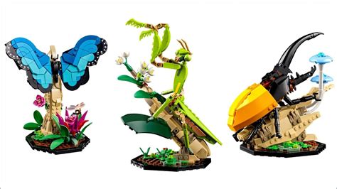 LEGO insect collection: Release date, where to buy, price, and all you need to know