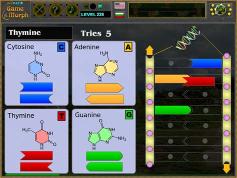 DNA Puzzle | Biology Learning Game