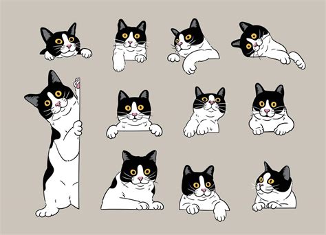 cartoon curious peeking tuxedo cats 20314253 Vector Art at Vecteezy