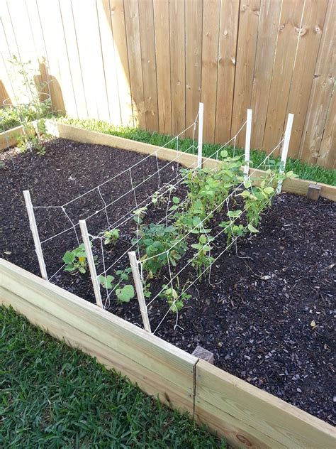 Pin by Meghan Darragh on Garden | Diy garden trellis, Vegetable garden trellis, Vegetable garden ...