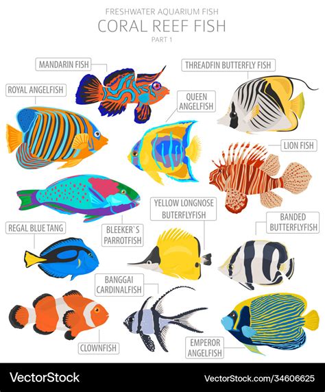 Coral reef fish freshwater aquarium fish icon set Vector Image