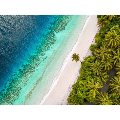 Tropical Beach, Aerial View