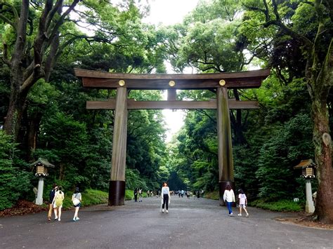 Exploring Meiji Shrine & Yoyogi Park - Explore Shaw