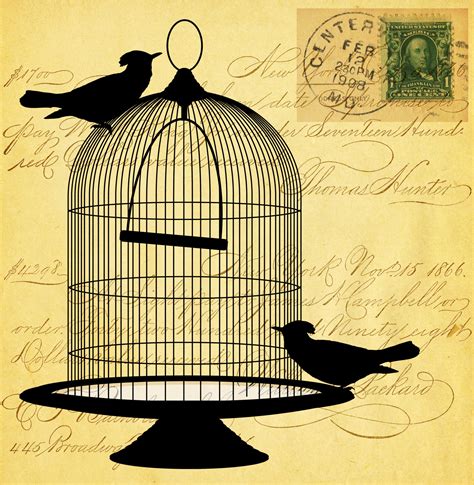 Vintage Birds Script Card Free Stock Photo - Public Domain Pictures