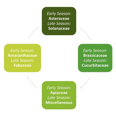 Crop Rotation in the Vegetable Garden | Horticulture and Home Pest News