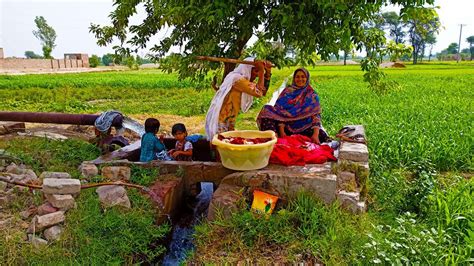 Village Life In pakistan I Punjab Village Life I Rural Life pakistan I punjab Lifestyle - YouTube