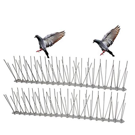 China Stainless Steel Anti Bird Spikes Pigeon Repellent Strips Bird Control factory and ...