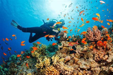 10 Best Places to Learn to Dive in Thailand - Great Thailand Scuba ...