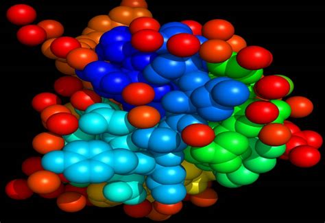 Insulin Esthetics - Famous Proteins in Frames