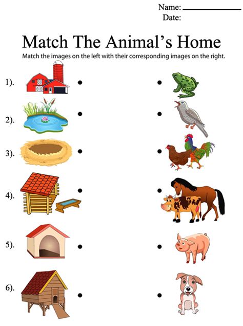 Help Animals Find Their Homes Worksheet | Animal activities for kids ...