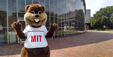 Tim the Beaver: What to know about MIT's mascot - EducationWeb