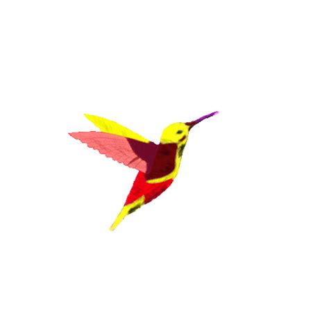 Burung Kolibri Terbang - GIF Gratis di Pixabay - Pixabay