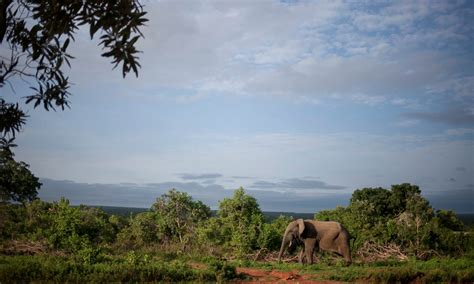 Book our affordable Ghana Wildlife Safari Valley Tour Packages NOW!