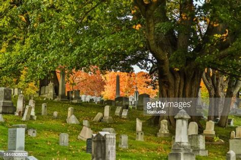 189 Mt Hope Cemetery Stock Photos, High-Res Pictures, and Images - Getty Images