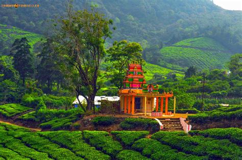 Meghamalai View – Theni – Tamil Nadu – India. TrampTraveller