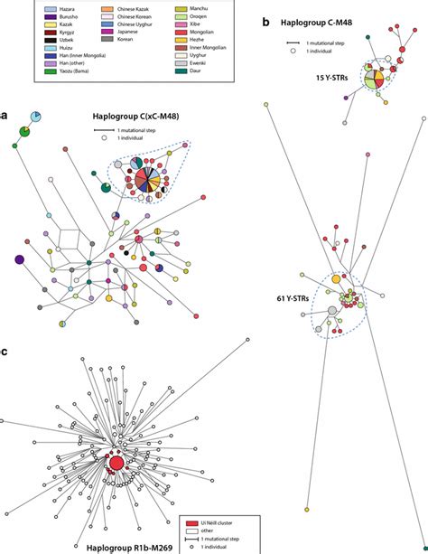 Examples of patrilineal descent clusters detected using Y-STR analysis ...