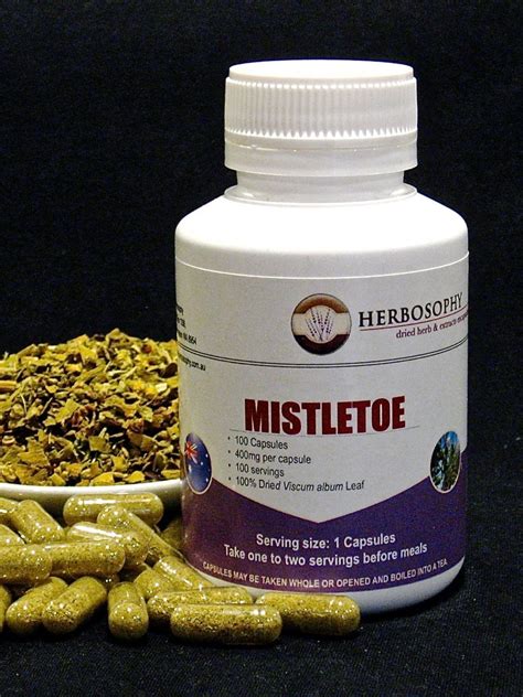 Mistletoe | Culinary herbs, Green tea, Herbs